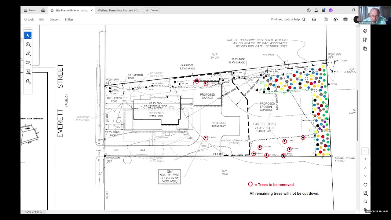 Detailed site plan showing proposed dwelling, garage, and wetland buffers