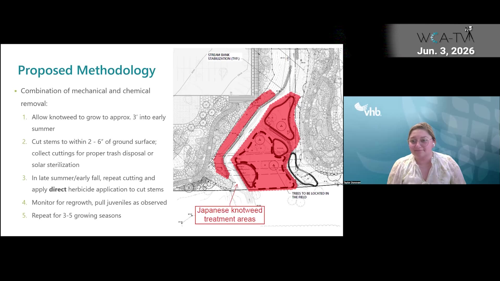 Proposed knotweed treatment methodology with site plan and red-highlighted areas