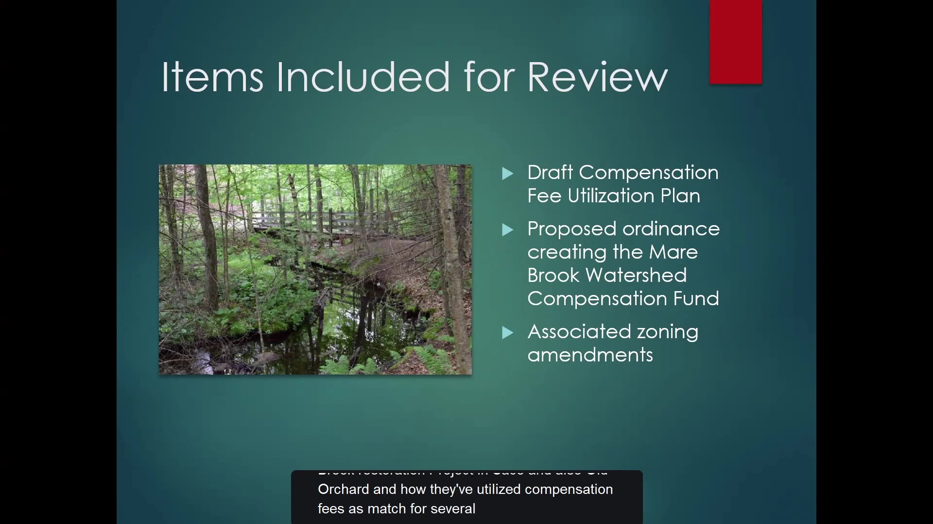 Items Included for Review slide with woodland photo and bullets