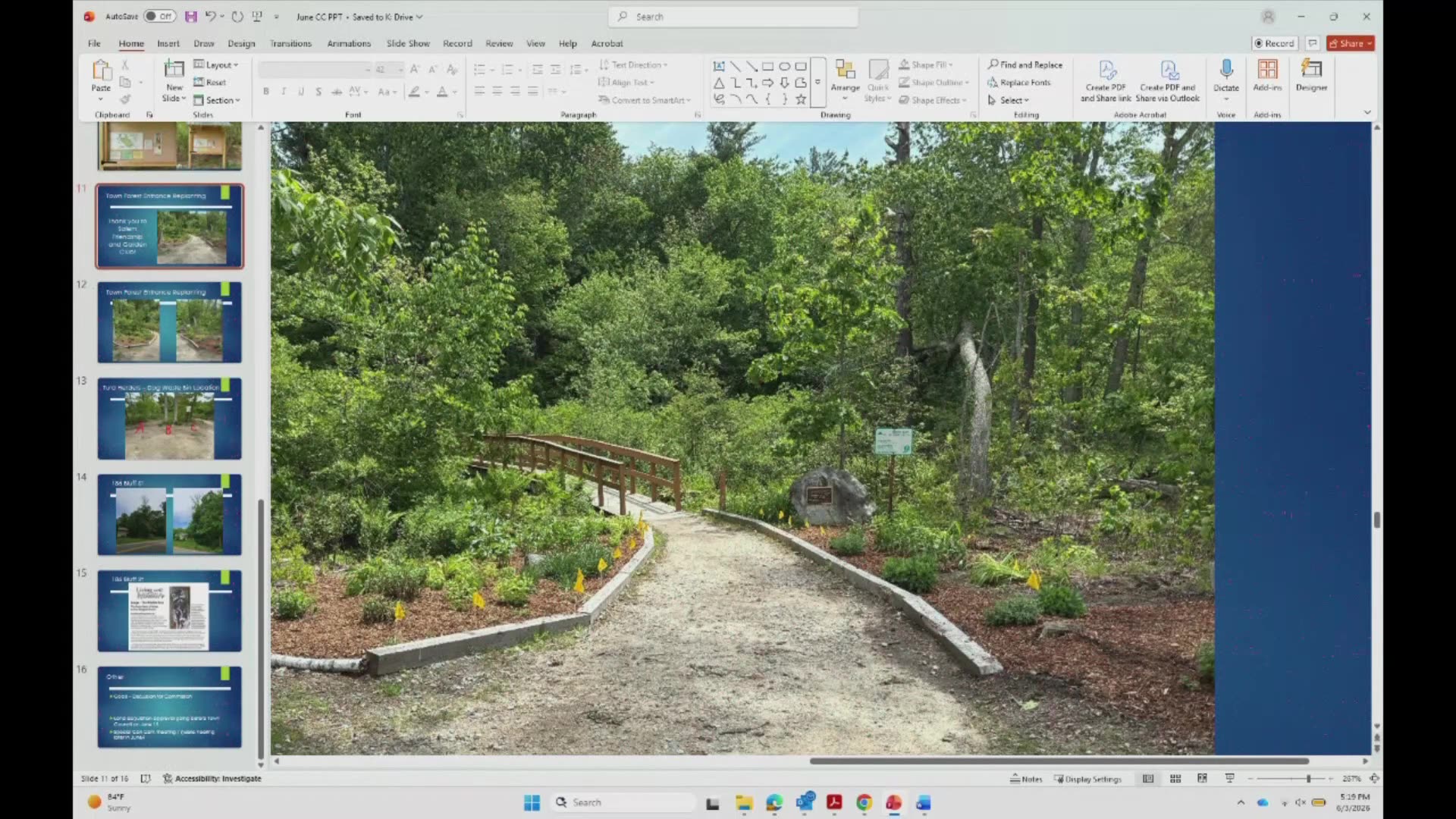 Town Forest trail photo with bridge and plantings